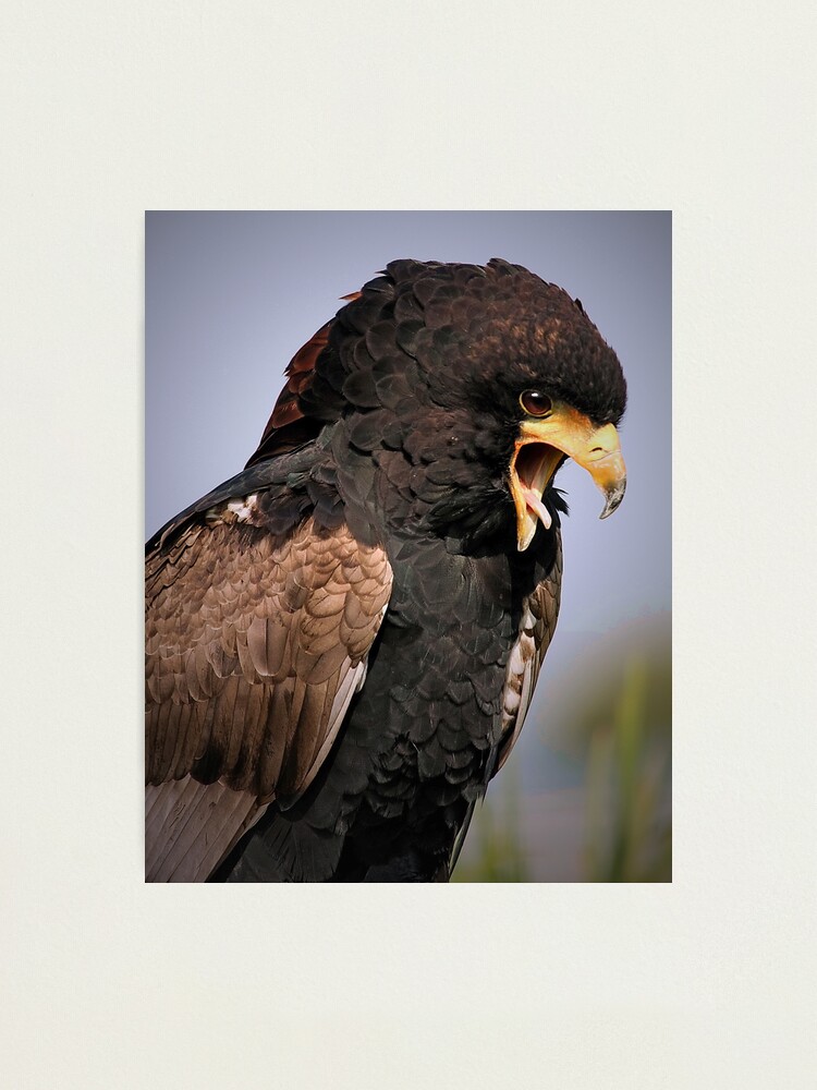Alternate view of I Got Sick Of You.... Photographic Print
