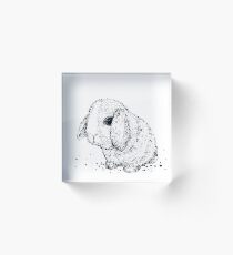 Hase Acrylblock