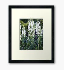 Ten Feet Framed Print