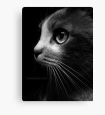 Catch Her Stealing. Canvas Print