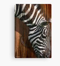 the zebra Leinwanddruck