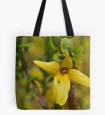 Gnat Tote Bag