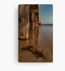 Queenscliff Canvas Print