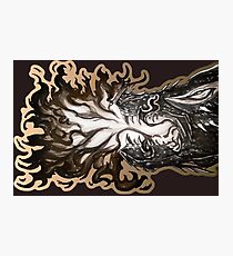 Balerion The Black Dread Photographic Print