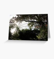 Early Morning Greeting Card