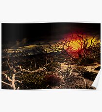 Untitled Poster