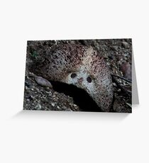 Who Knows What This Is? ~ Solved! Greeting Card