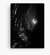 Looking down Titan's Great Cave Canvas Print