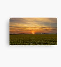 Yellow & sunset. Canvas Print