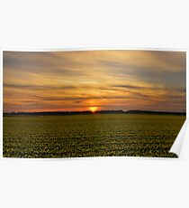 Yellow & sunset. Poster