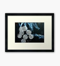 fruitful Framed Print