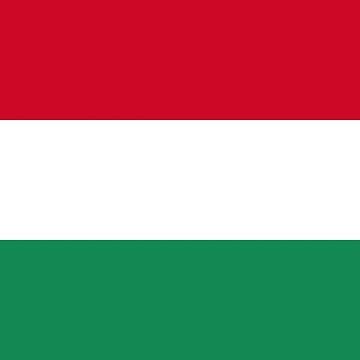 Aperçu de l'œuvre Drapeau de Hongrie de Shorlick