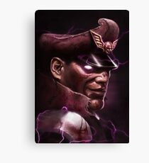 Lienzo M. Bison