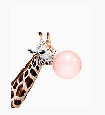 Giraffe print, Bubble gum, Nursery art, Giraffe wall art, Animal, Kids room, Modern art, Wall decor Photographic Print