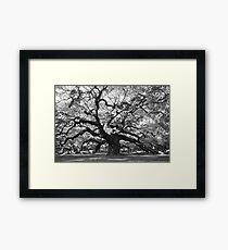 angel oak tree Framed Print