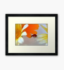 Della Framed Print