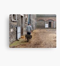 Man pulling a wheelbarrow Metal Print