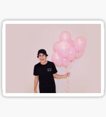 david dobrik Sticker