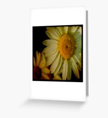 Flower Greeting Card