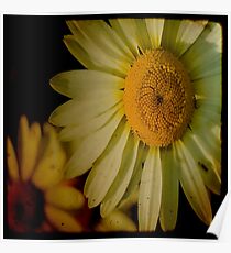 Flower Poster