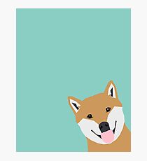 Shiba Inu Peek - cute shiba doge peeking funny dog art print mint turquoise customizable dog gift Photographic Print