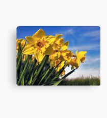Spring in my street..... Canvas Print