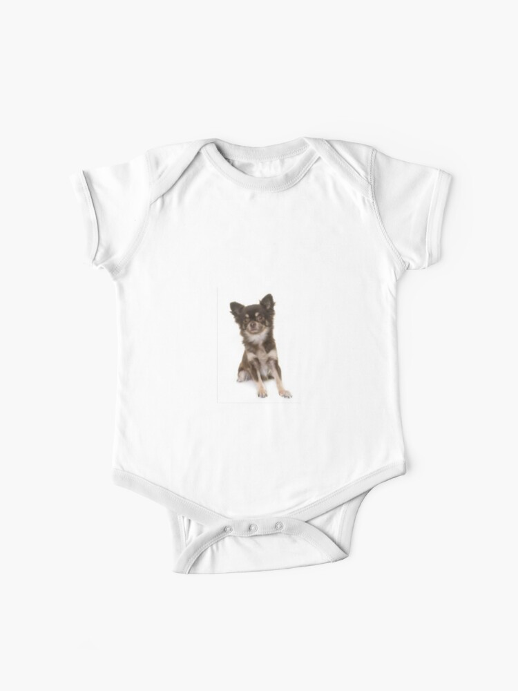 Brown Long Haired Chihuahua Puppy Photography Baby One Piece By
