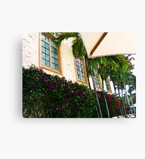 Purple and Red Bougainvillea Art Canvas Print