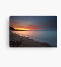 Touch of red Canvas Print