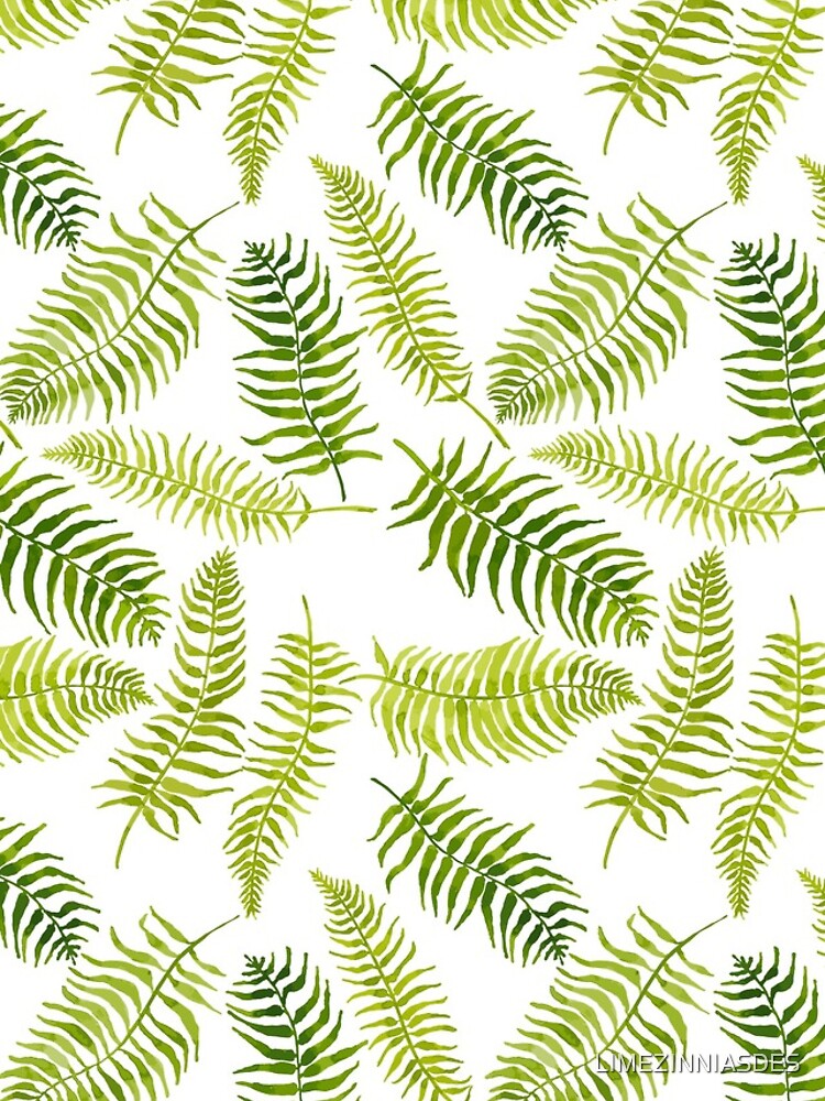 Fern Limelight by LIMEZINNIASDES