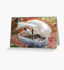 I Ask For So Little...So Often Greeting Card