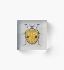 LadyBug - Jaune Acrylic Block