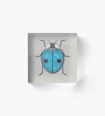 LadyBug - Blue Acrylic Block