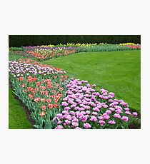 Spring Triangles Photographic Print