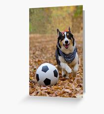 Four-legged Soccer Player Greeting Card