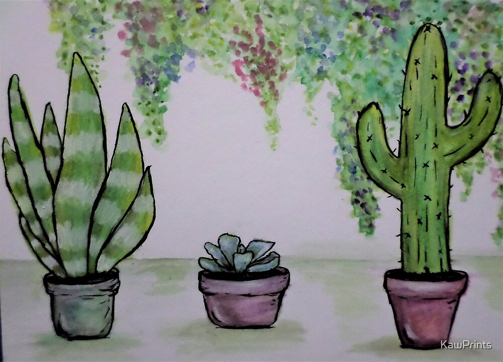 Succulents In Pots With Draping Plants By Kawprints Redbubble