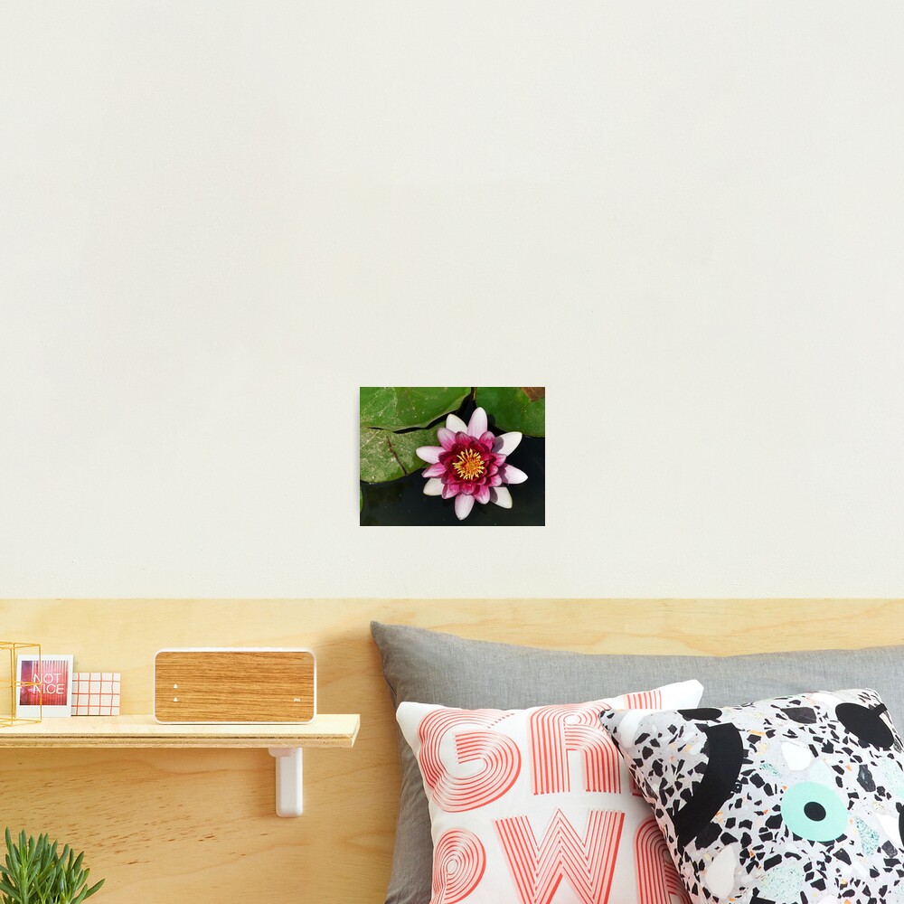 Pink thing Photographic Print