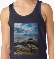 Cloudy Lake Overlook 2 Men's Tank Top