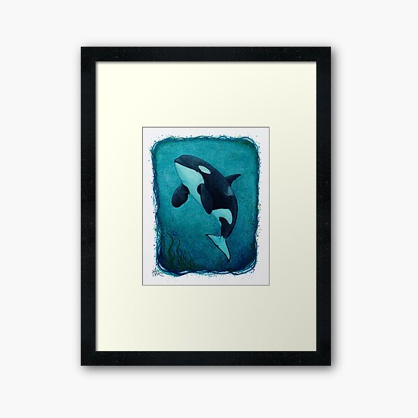 "The Matriarch" by Amber Marine ~ killer whale / orca watercolor painting, (J2 Granny) art © 2016 Framed Art Print