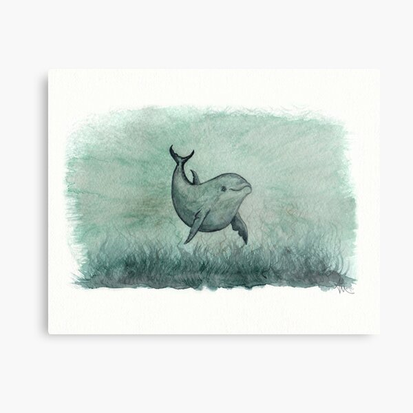 "Notches" by Amber Marine ~ watercolor inshore Indian River Lagoon bottlenose dolphin painting, art © 2013 Metal Print