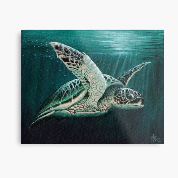 "Moonlit" by Amber Marine ~ Acrylic sea turtle painting, art © 2015 Metal Print