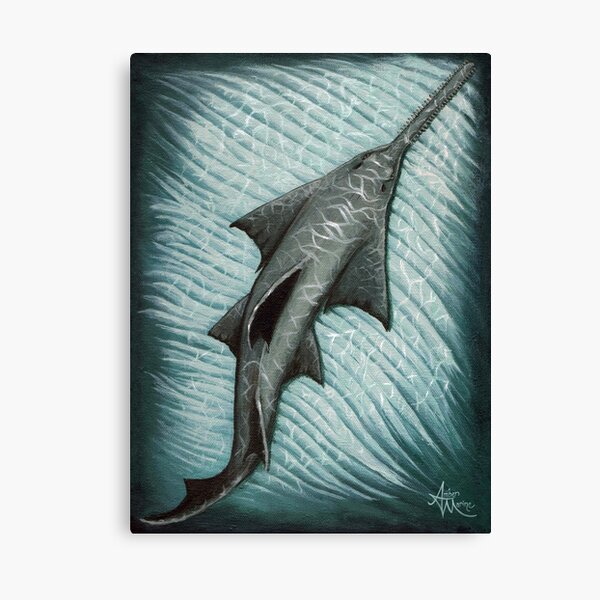 "Sawfish" by Amber Marine ~ Acrylic painting, art © 2015 Canvas Print