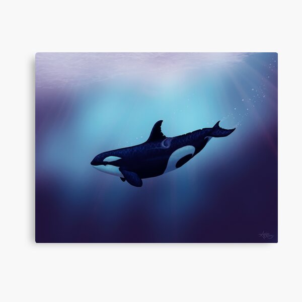 "Lost in Fantasy" by Amber Marine ~ orca / killer whale art, © 2015 Canvas Print