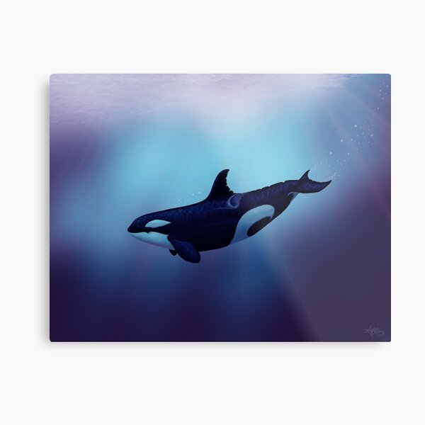 "Lost in Fantasy" by Amber Marine ~ orca / killer whale art, © 2015 Metal Print