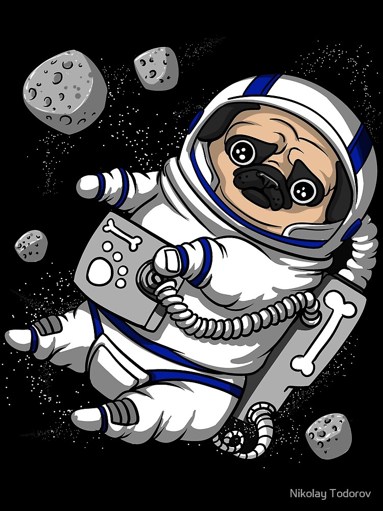 pug astronaut squishmallow