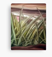 Shrubs Canvas Print