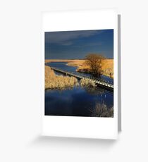 Point Pelee National Park - Marsh in Spring Greeting Card