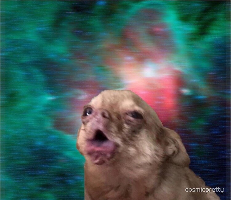 "Coughing Meme Dog Chihuahua" by cosmicpretty Redbubble