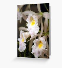 Horn Section Greeting Card