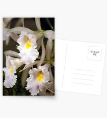 Horn Section Postcards